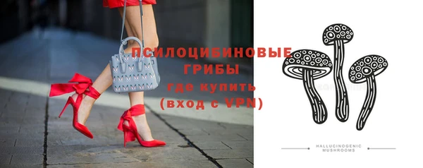 твердый Кулебаки