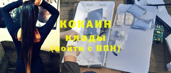 ГАЛЛЮЦИНОГЕННЫЕ ГРИБЫ Кукмор