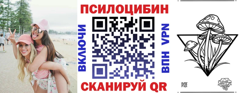 Псилоцибиновые грибы GOLDEN TEACHER  Купить  Алексеевка 